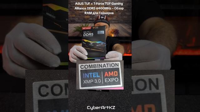 ASUS TUF + T-Force TUF Gaming Alliance DDR5 6400MHz – Обзор RAM для Геймеров