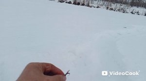 рыбалка на озёрах Забайкалья чку на мормышку .начало не очень потом попёрло!