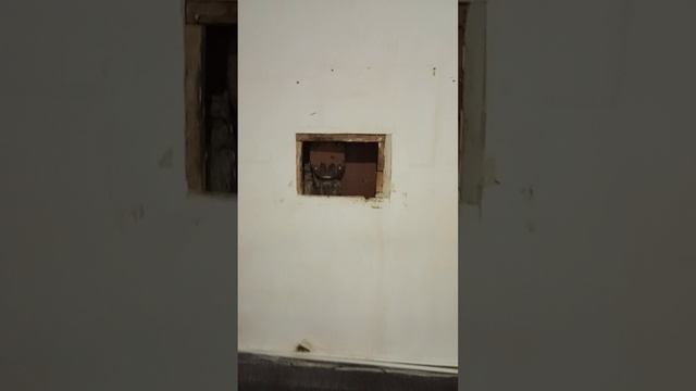 Семеновская Общее видео