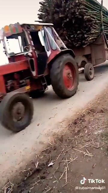 Belarus 510 old modal tractor and full loaded trolley . Belarus parfull tractor 🚜💪#shorts смотреть онлайн