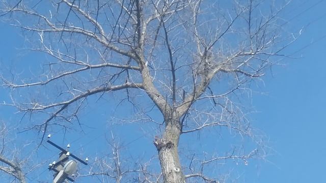 VID_20250308_093536