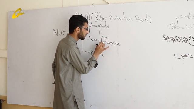 زده کړې په کور کې | بیولوژي | اتمه برخه |یوولسم ټولګی | استاد زاهدالله ذهین смотреть онлайн