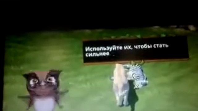 Симулятор пумы. Нашла себе пару1.