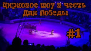 Цирковое шоу в честь Дня Победы #1