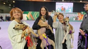 Награждение Чемпионов 2024