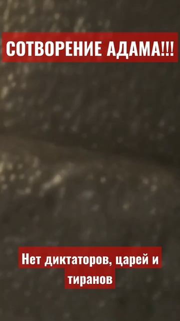 Сотворение Адама! смотреть онлайн