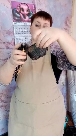 ДОМИНАНТ 959, нам две недели.
