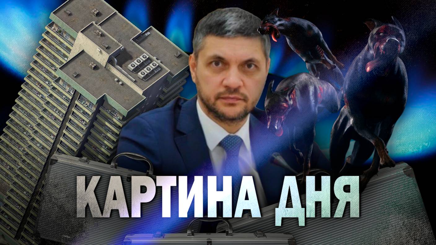 Выплаты домохозяйкам, газификация Читы, дом Шиллинга, кейсы Осипова, живодёрня, собаки, снос дома