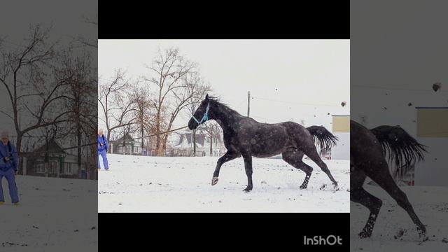 моя любимая фотомодель ❤️)