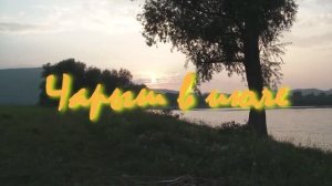 Чарыш в июле