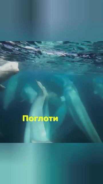 В западне смотреть онлайн