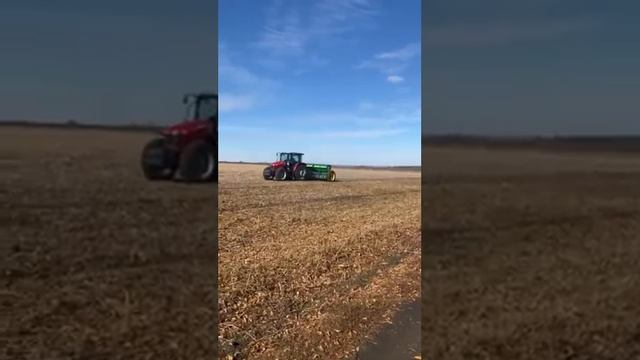 Посевная озимой пшеницы  2021