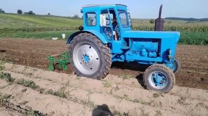Уборка картофеля самодельной грохотной копалкой Трактором Т-40