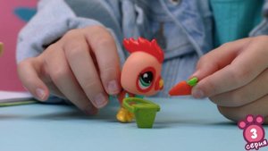 Игровой набор "Три друга", три фигурки животных с аксессуарами, Лошадь, Петух, Терьер