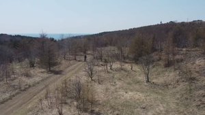 Сезон 2024 открыт