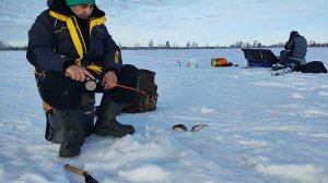 ОКУНИ НА БАЛАНСИР