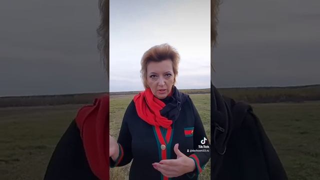 Подключиться бесплатно