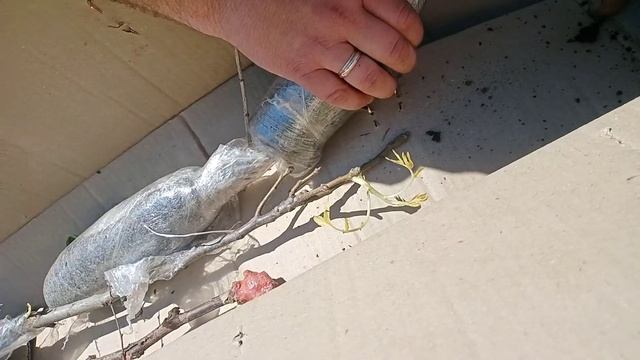 Отзыв Агромаркет (відгук)" смотреть онлайн