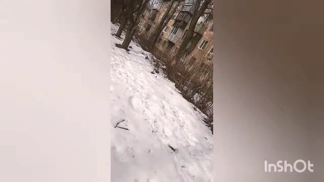 ЧЕЛЕНДЖ КРОКОДИЛ. РЖАКА. МЫ ДЕБИЛЫ смотреть онлайн