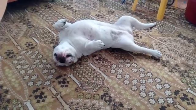 Цыля смотреть онлайн