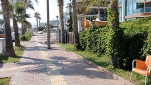 Отель "CIUB BAYAR BEACH". Турция - Алания,район Оба.День первый.Изучаем окрестности.