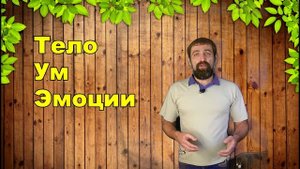 Кто такие БЕСЫ и что с ними делать