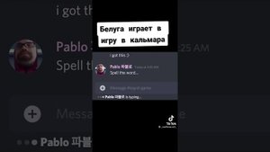 Белуга играет в игру в кальмара