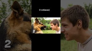 О собаках