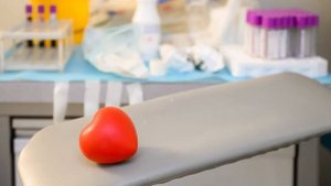 Мы с тобой одной крови