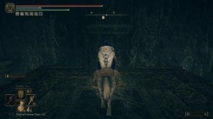 Elden Ring 2nd Divine Beast Dancing Lion - Location Ancient Ruins