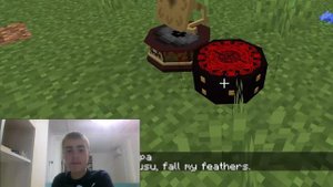 ОБЗОР МОДА  ЛЕДИБАГ И СУПЕР КОТА НА ВЕРСИИ 1.16.5||  YYLehaYY Minecraft