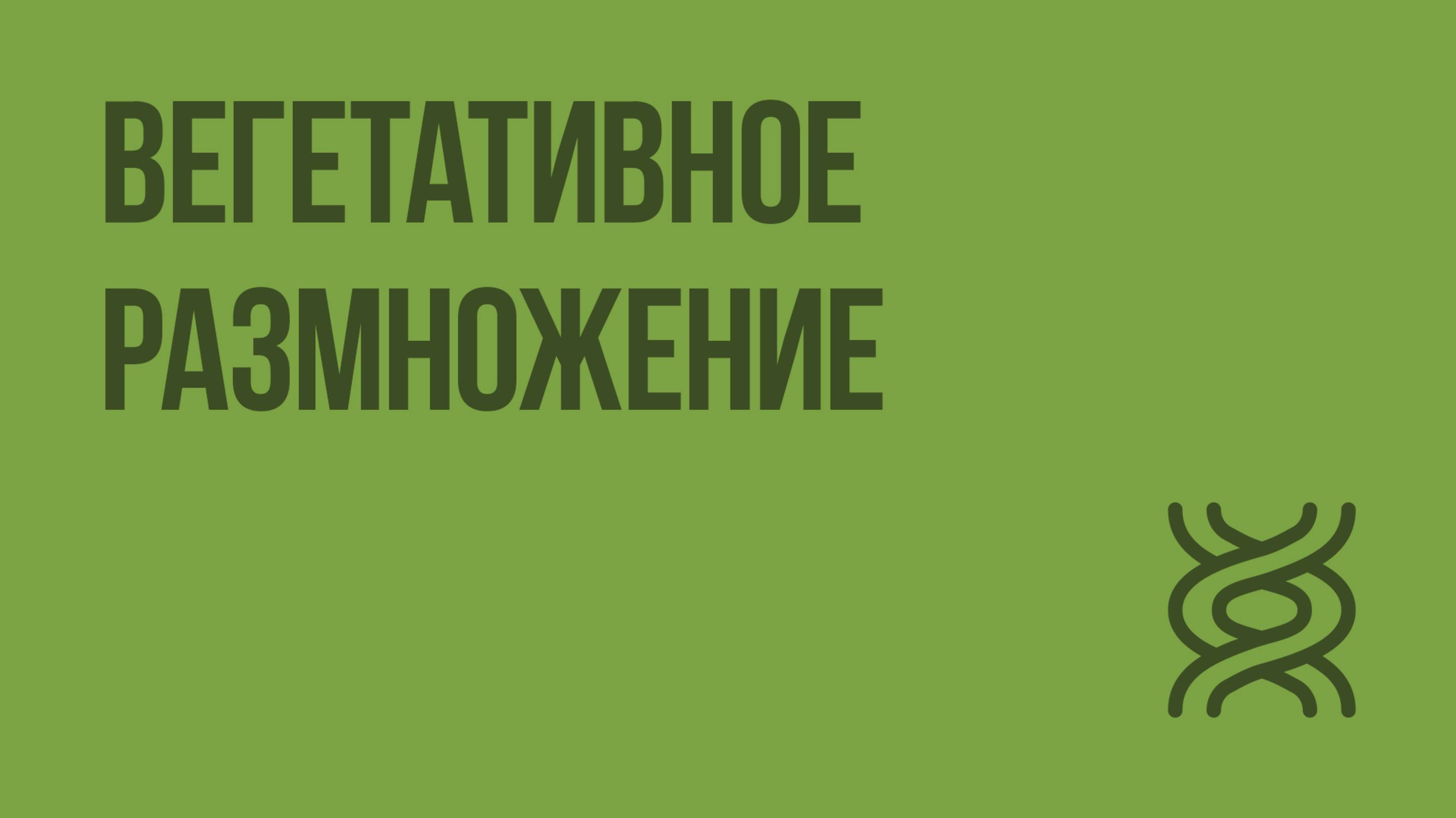 Вегетативное размножение. Видеоурок по биологии 6 класс