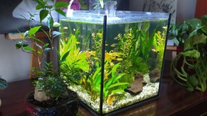 Мини аквариум "Кристалл"