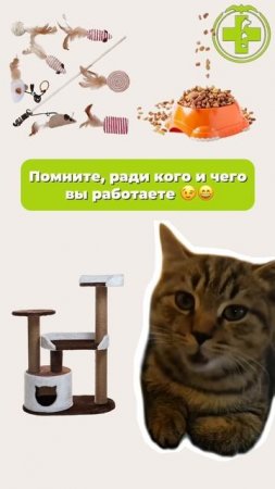 Важная информация