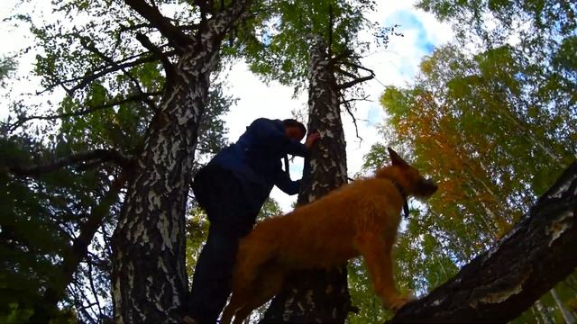 Заюша на дереве. Дурные бабы и береза смотреть онлайн