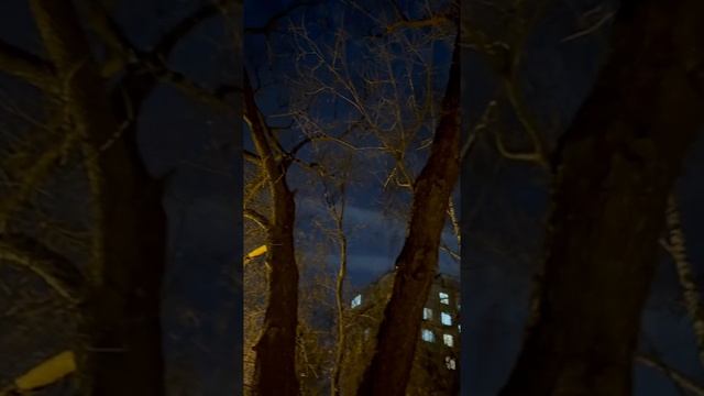 Красивая луна и песня "Она" #сезонконтентврутубе