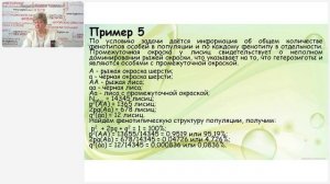 Закон Харди–Вайнберга: особенности выполнения задания №27 в ЕГЭ по биологии 2025 года