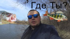 ОХОЧУСЬ ЗА ОКУНЕМ .ГОТОВЛЮ ФУНЦОЗУ В КАЗАНЕ.МОИ ВЫХОДНЫЕ
