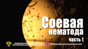 Соевая нематода. Часть-1