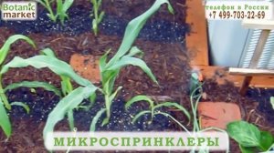 Микроспринклер