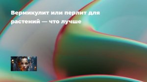 Вермикулит или перлит для растений — что лучше