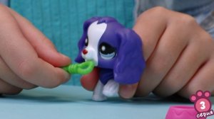 Игровой набор "Три друга", три фигурки животных с аксессуарами, Муравей, Спаниель и Черепаха