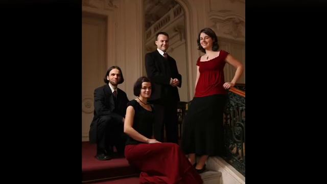 Vox Nova - Ievan Polkka смотреть онлайн