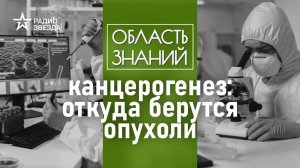 Можно ли заразиться раком? Лекция онколога Вадима Покровского