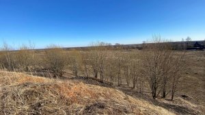 Торги по банкротству