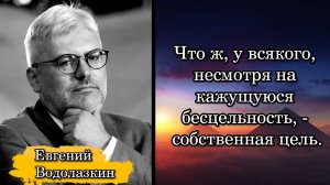Евгений Водолазкин. Что ж, у всякого, несмотря на кажущуюся бесцельность, - собственная цель.