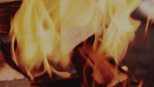 Клип на выпускной. Режиссер Арсений Зверев