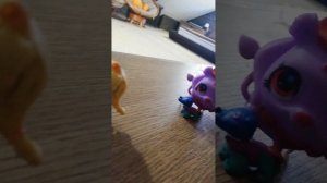 VID_20250317_124123.mp4