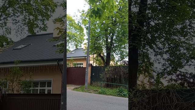 Звуки природы. Посёлок художников на Соколе
