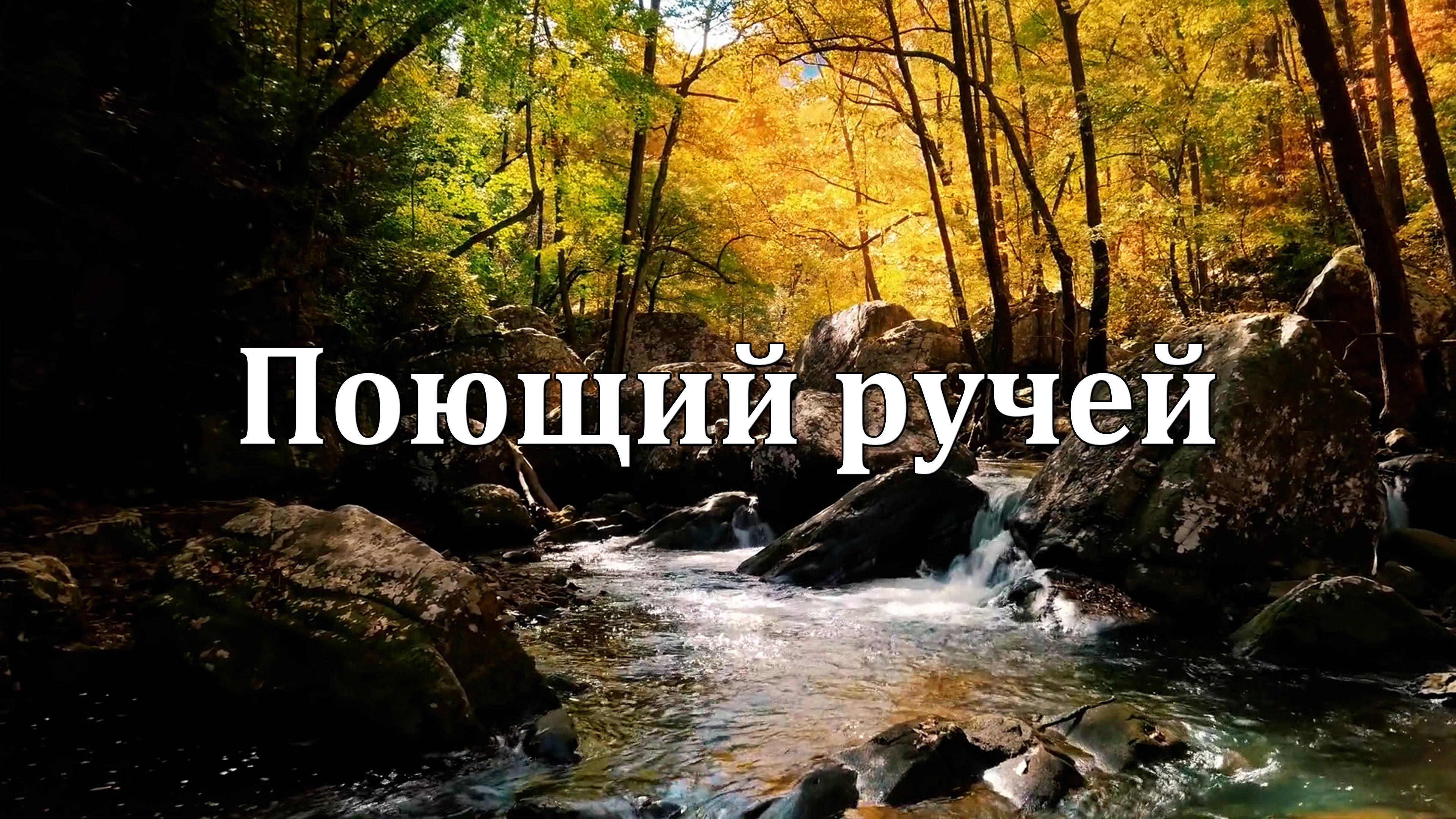 Поющий Ручей — Успокаивающие Звуки Воды и Оптимистичная Музыка 💧🌿💧